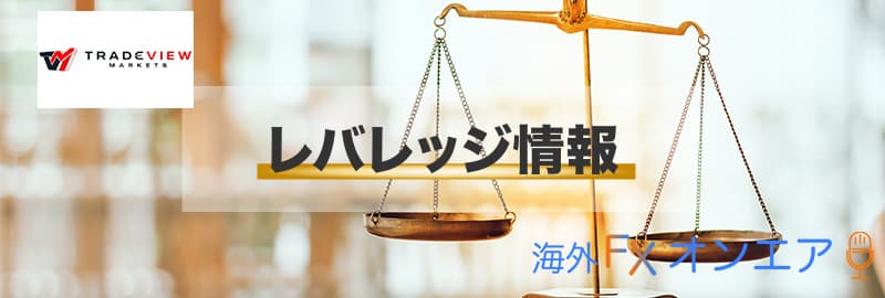 Tradeview(トレードビュー)のレバレッジ